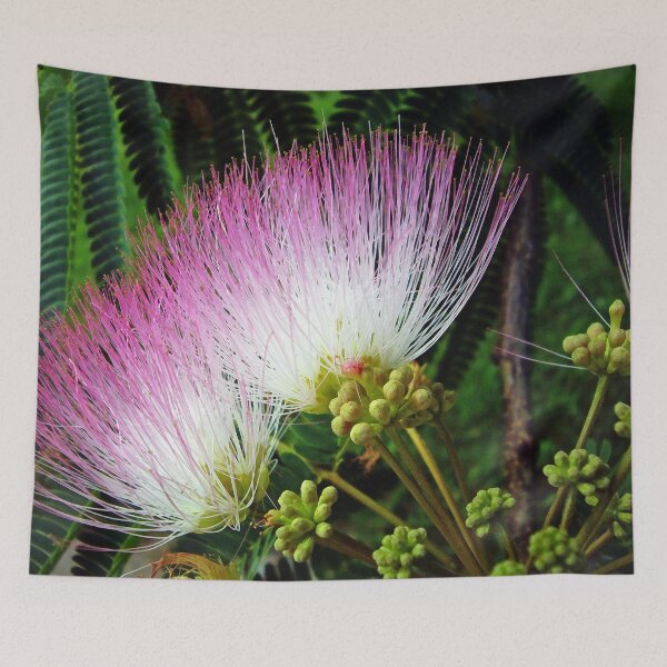 Item preview, Mimosa  designed and sold by Frankie Cat Photography.
