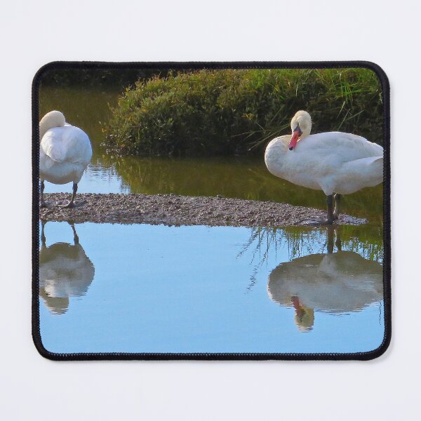 Item preview, Swan lake designed and sold by Ribster13.
