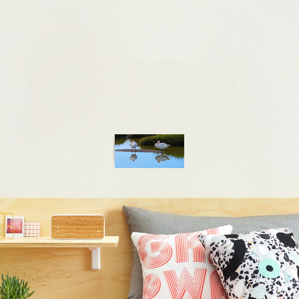 Item preview, Photographic Print designed and sold by Ribster13.