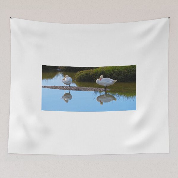 Item preview, Swan lake  designed and sold by Ribster13.