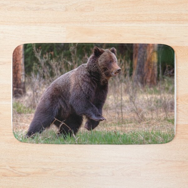 Item preview, Quick start! designed and sold by James (820Photography) Anderson.