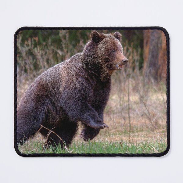 Item preview, Quick start! designed and sold by James (820Photography) Anderson.