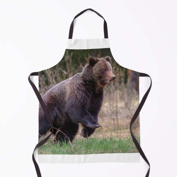 Item preview, Quick start! designed and sold by James (820Photography) Anderson.