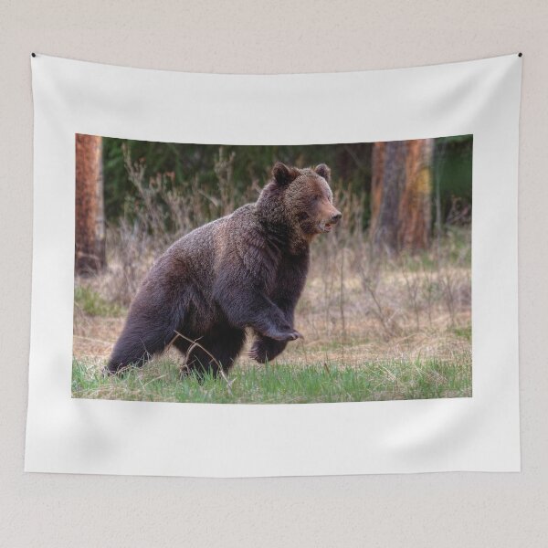 Item preview, Quick start! designed and sold by James (820Photography) Anderson.