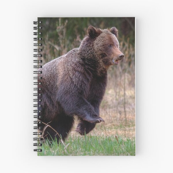 Item preview, Quick start! designed and sold by James (820Photography) Anderson.