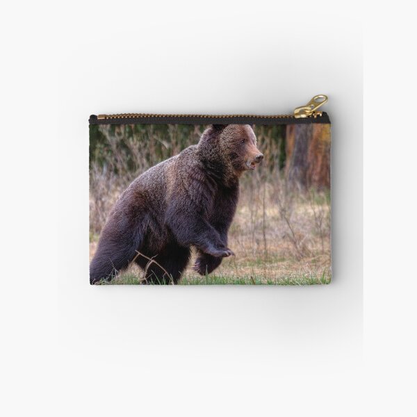 Item preview, Quick start! designed and sold by James (820Photography) Anderson.