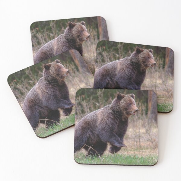 Item preview, Quick start! designed and sold by James (820Photography) Anderson.