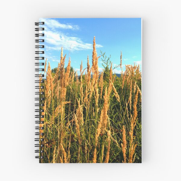 Item preview, Grasses in the meadow designed and sold by AdioraStore.