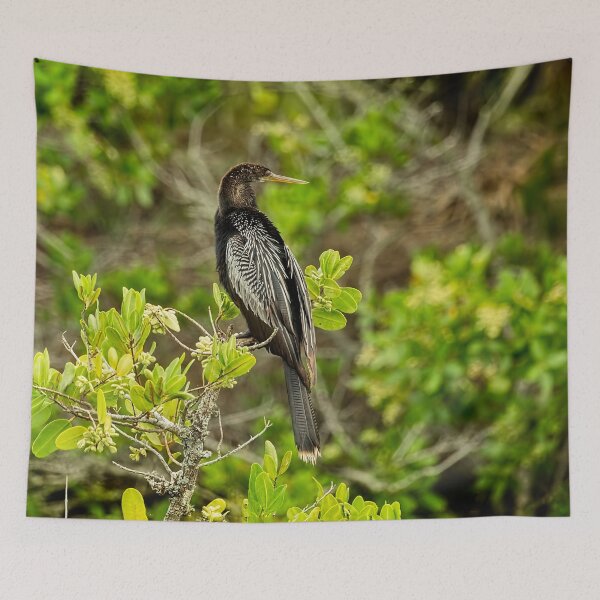 Item preview, An Anhinga designed and sold by Kay Brewer.