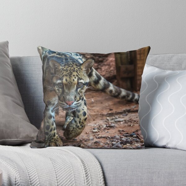 Clouded Leopard Throw Pillow