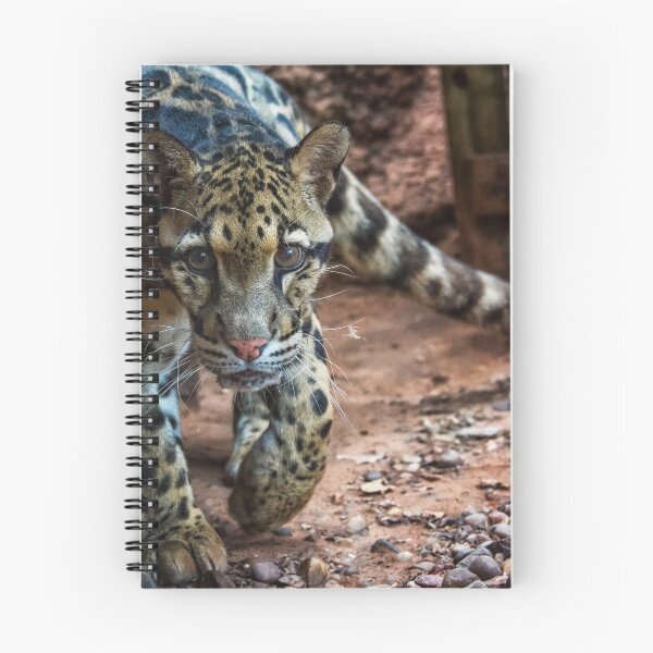 Item preview, Clouded Leopard designed and sold by S. Daniel McPhail.