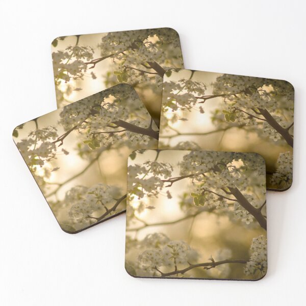 Item preview, Setting Sun Through White Blossoms designed and sold by depictionly.