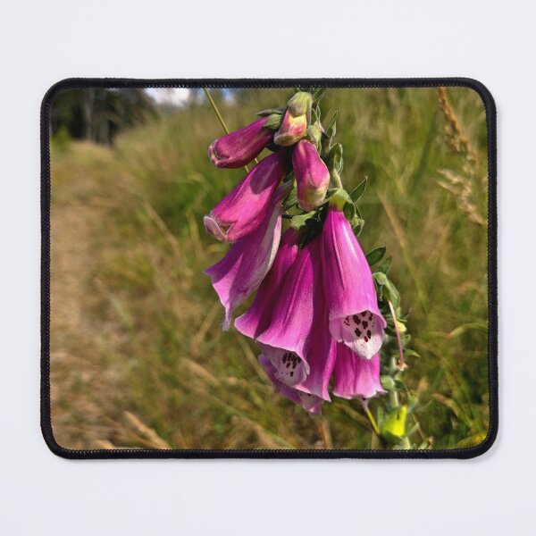 Item preview, Digitalis in the forest meadow designed and sold by AdioraStore.