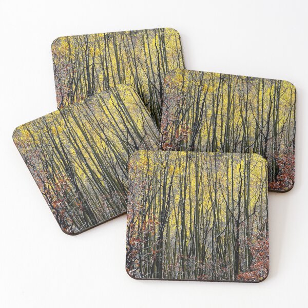 Item preview, October Aspen Forest of Color designed and sold by Vicki Pelham.