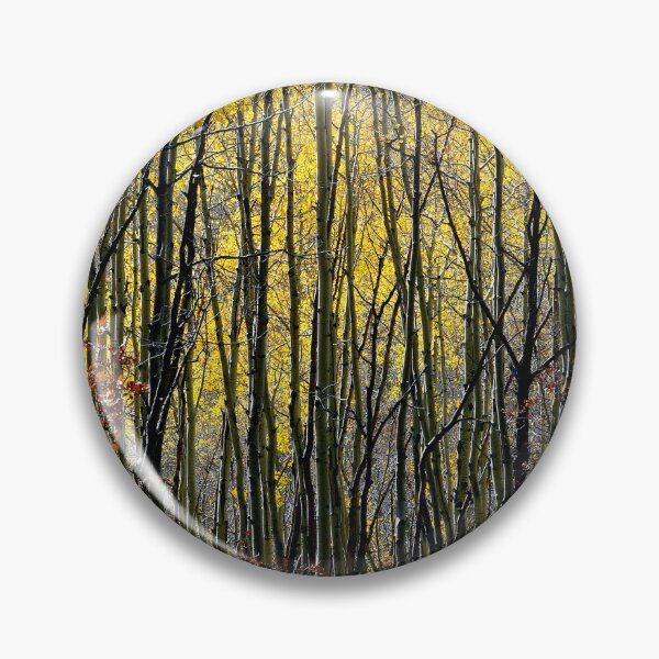 Item preview, October Aspen Forest of Color designed and sold by Vicki Pelham.