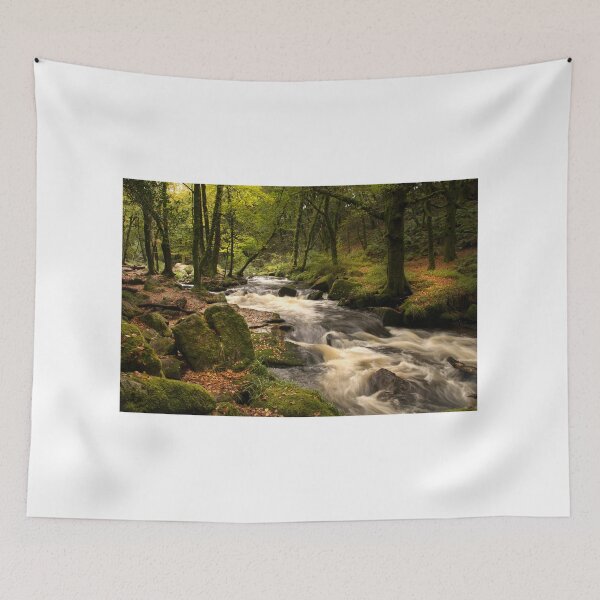 Item preview, Golitha falls Cornwall designed and sold by eddiej.