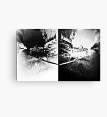 Pinhole Bones #2... doubled Canvas Print