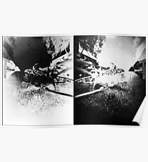Pinhole Bones #2... doubled Poster