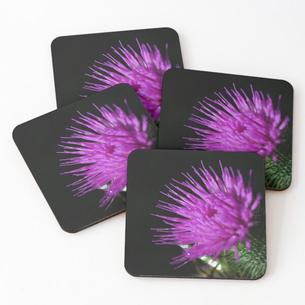 Item preview, Thistle  designed and sold by Ckoma.