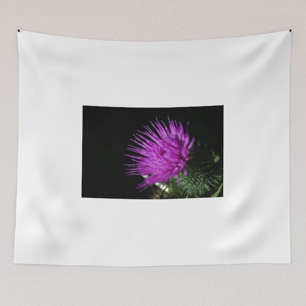 Item preview, Thistle  designed and sold by Ckoma.