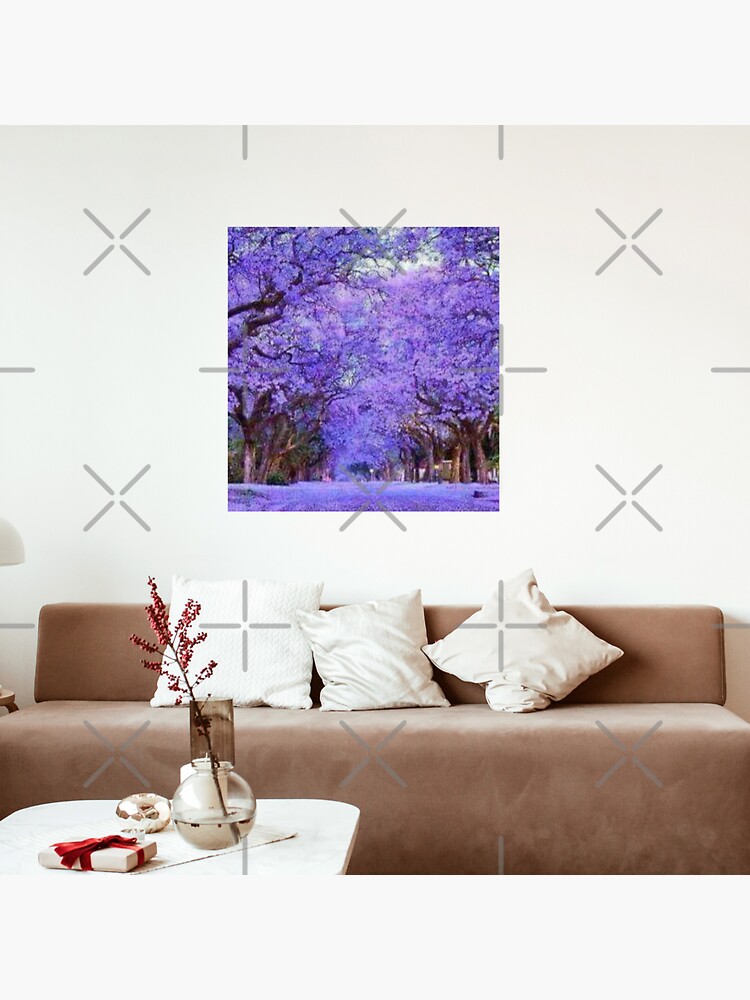 "Nature, Africa, Harare Zimbabwe, Trees, Jacaranda, purple " Sticker