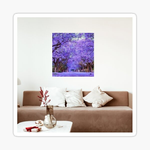 "Nature, Africa, Harare Zimbabwe, Trees, Jacaranda, purple " Sticker