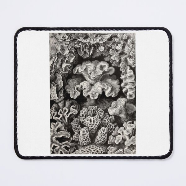 Item preview, Save The Reefs designed and sold by AntiqueGallery.