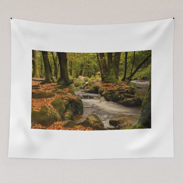 Item preview, Golitha falls autumn  Cornwall designed and sold by eddiej.