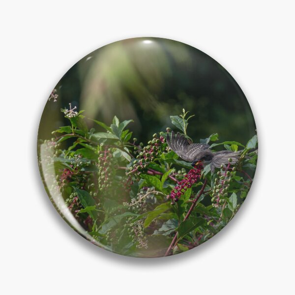 Item preview, Kingbird with Pokeberry designed and sold by InGFocus.