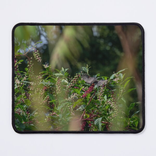 Item preview, Kingbird with Pokeberry designed and sold by InGFocus.