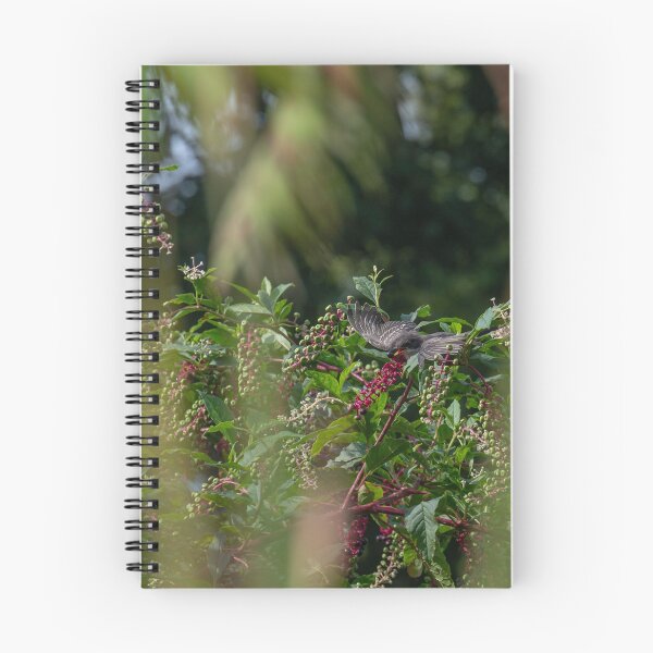 Item preview, Kingbird with Pokeberry designed and sold by InGFocus.