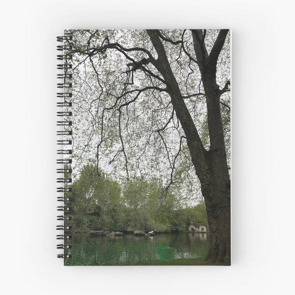 Artikelvorschau, Fotografie aus dem St. James's Park in London entworfen und verkauft von Dinablal.