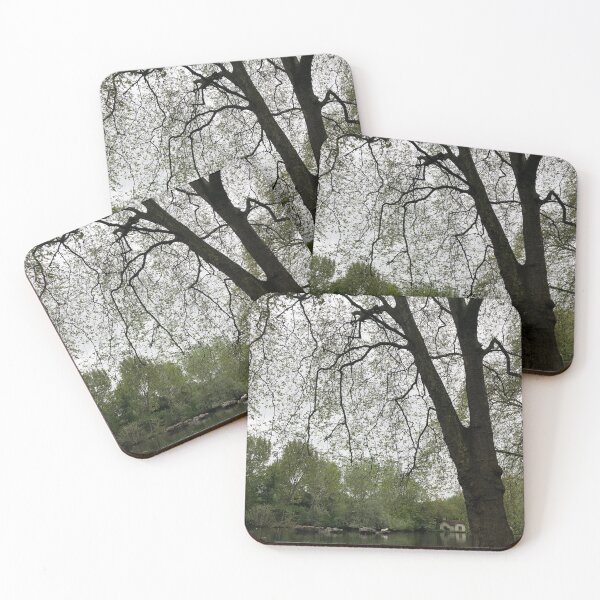Item preview, St James's Park London photography  designed and sold by Dinablal.