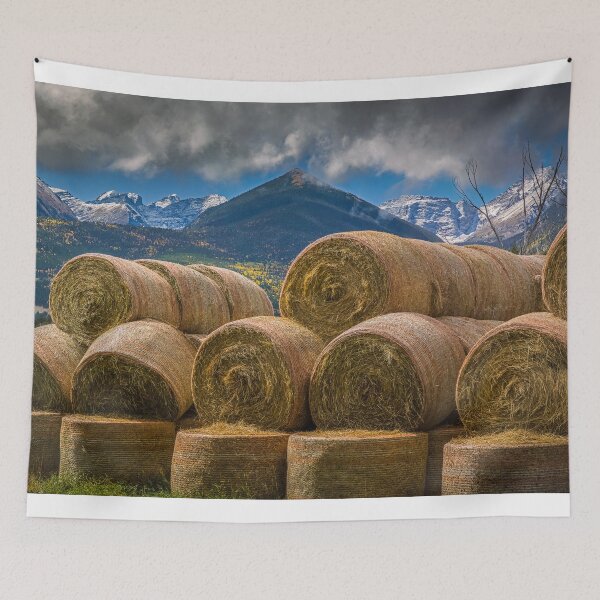 Item preview, Hay designed and sold by Gary Benson.