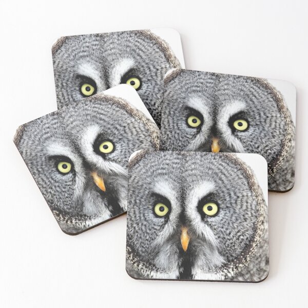 Item preview, Eurasian eagle owl designed and sold by David-Howells.