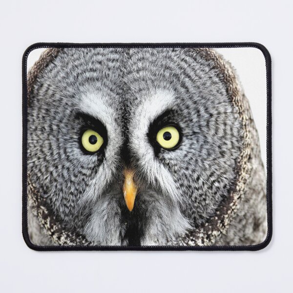 Item preview, Eurasian eagle owl designed and sold by David-Howells.
