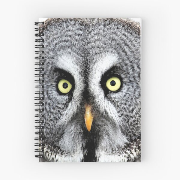 Item preview, Eurasian eagle owl designed and sold by David-Howells.