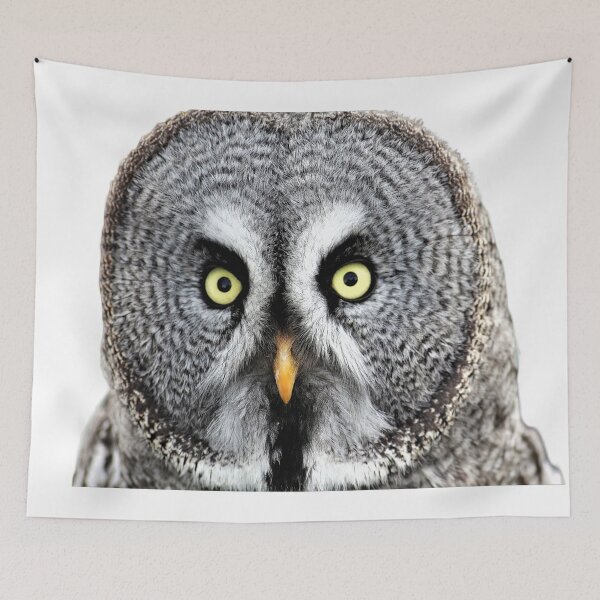Item preview, Eurasian eagle owl designed and sold by David-Howells.