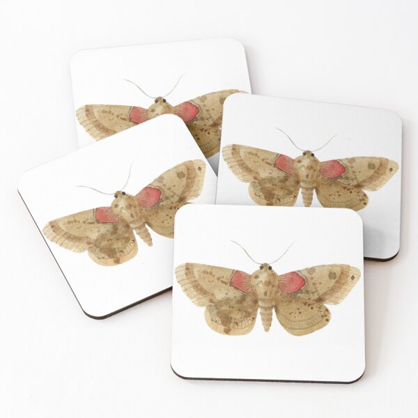 Item preview, Moth designed and sold by Typical-Turd.