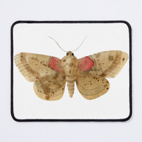 Item preview, Moth designed and sold by Typical-Turd.