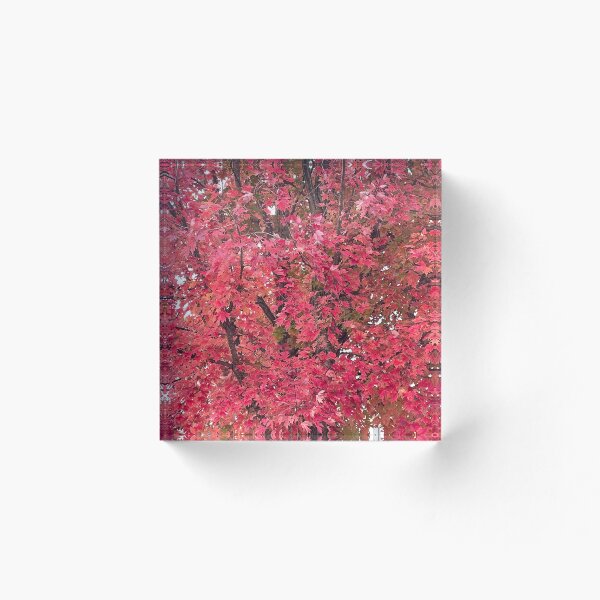 Item preview, Red Tree 2 designed and sold by mmcgui12gmu.