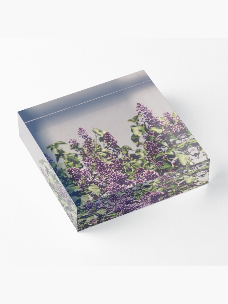 Alternate view of Wild Lilacs Acrylic Block