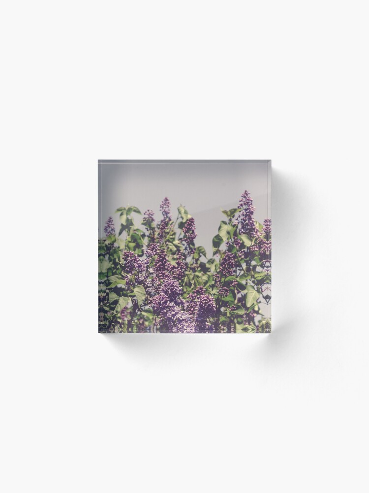 Alternate view of Wild Lilacs Acrylic Block