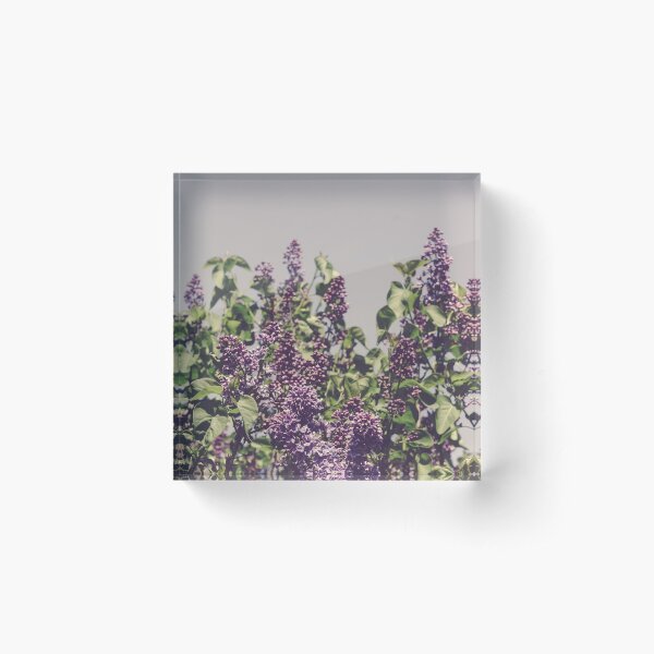 Item preview, Wild Lilacs designed and sold by oliviastclaire.