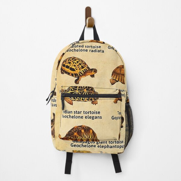 Item preview, Types Of Tortoises designed and sold by LouisBeiler.