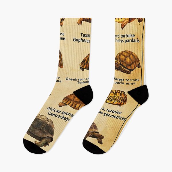 Item preview, Types Of Tortoises designed and sold by LouisBeiler.