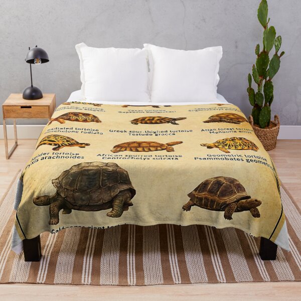 Item preview, Types Of Tortoises designed and sold by LouisBeiler.