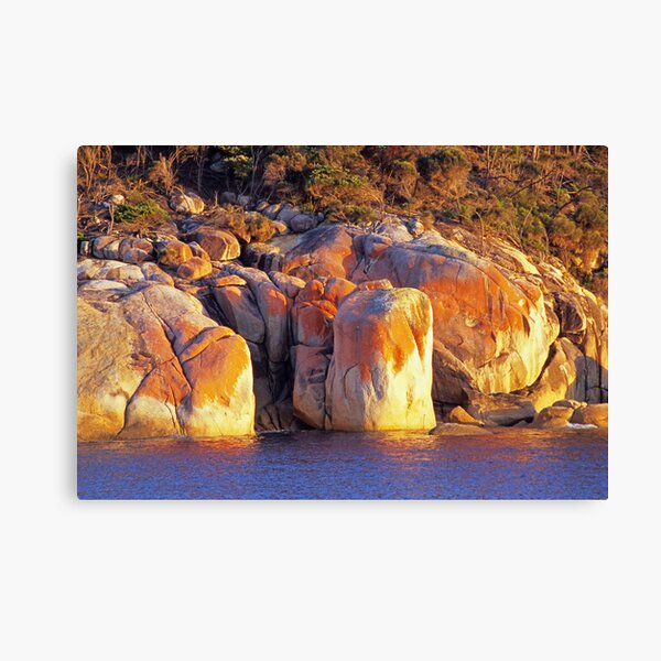 Item preview, Refuge Cove Point designed and sold by Travis Easton.