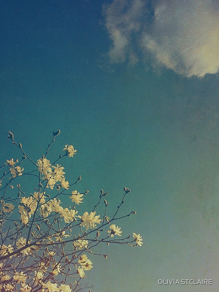 Head in the Clouds by oliviastclaire
