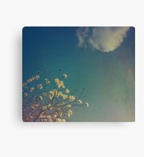 Head in the Clouds Canvas Print
